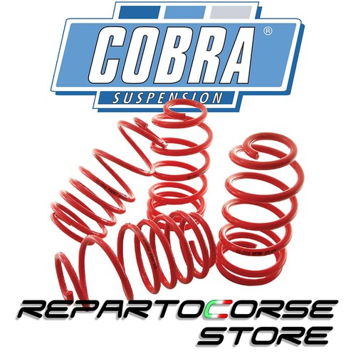 Springs cobra honda - springs, civic