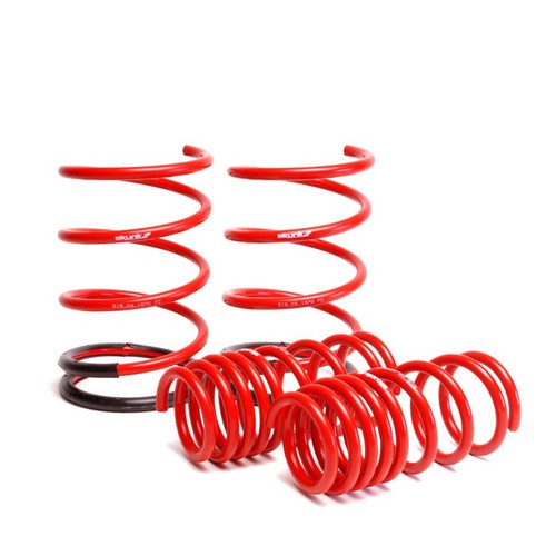Skunk2 lowering springs 05 - skunk2, 01-05